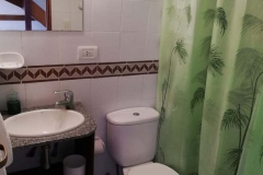 Baño de la planta baja